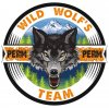 Иконка канала Wild Wolfs TEAM