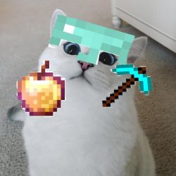 Иконка канала peddqa