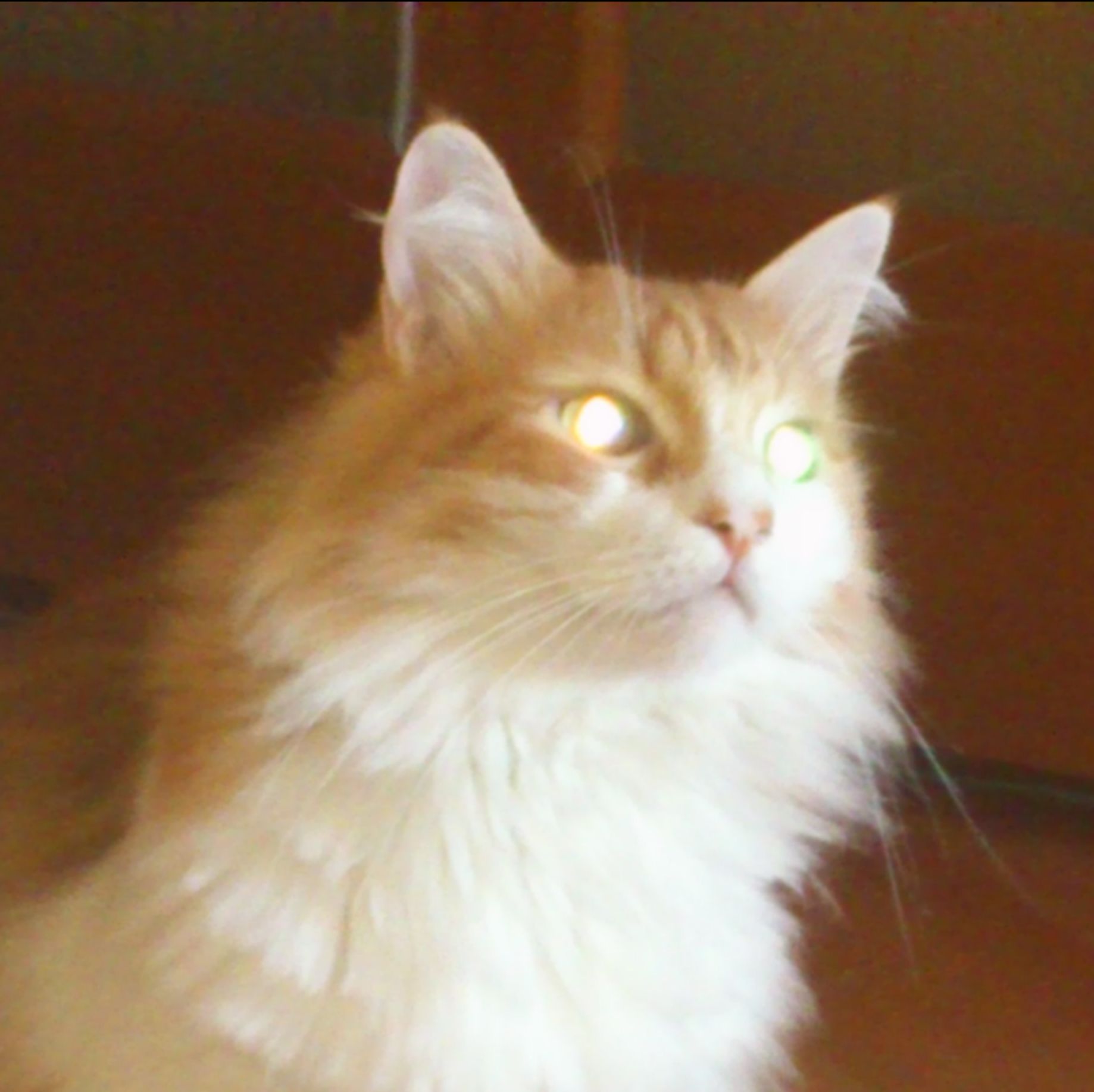 Иконка канала Татьяна Божий Одуванчик