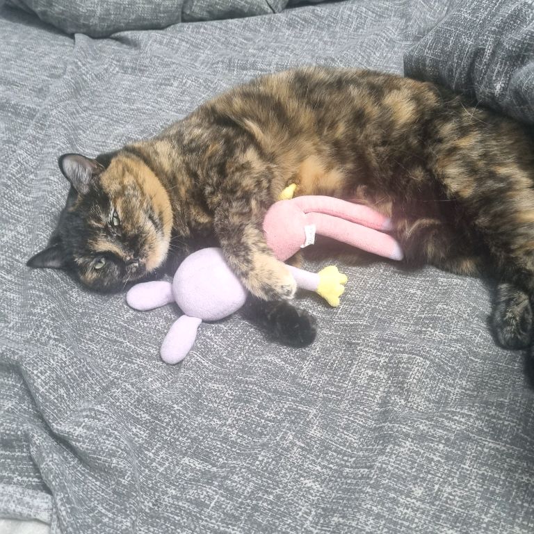 Иконка канала папи пупенк пупенк