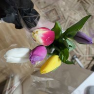 Иконка канала ElenaKomp