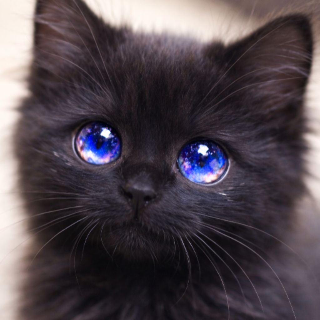 Иконка канала SPARKLE | СПАРКЛ