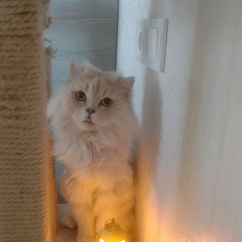 Иконка канала ФТМ