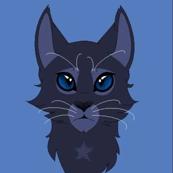 Иконка канала Синяя звезда