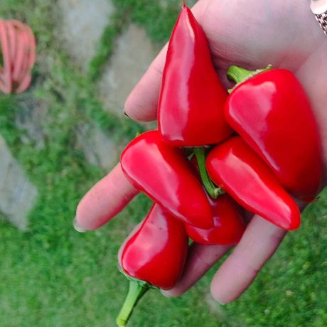 Иконка канала МарГосад