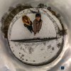 Иконка канала 4annel657657657