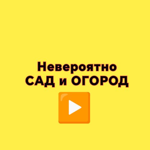 Иконка канала Сад и огород|Все о выращивании цветов и растений.
