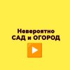 Иконка канала Сад и огород|Все о выращивании цветов и растений.
