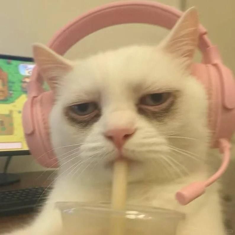 Иконка канала erzevakina