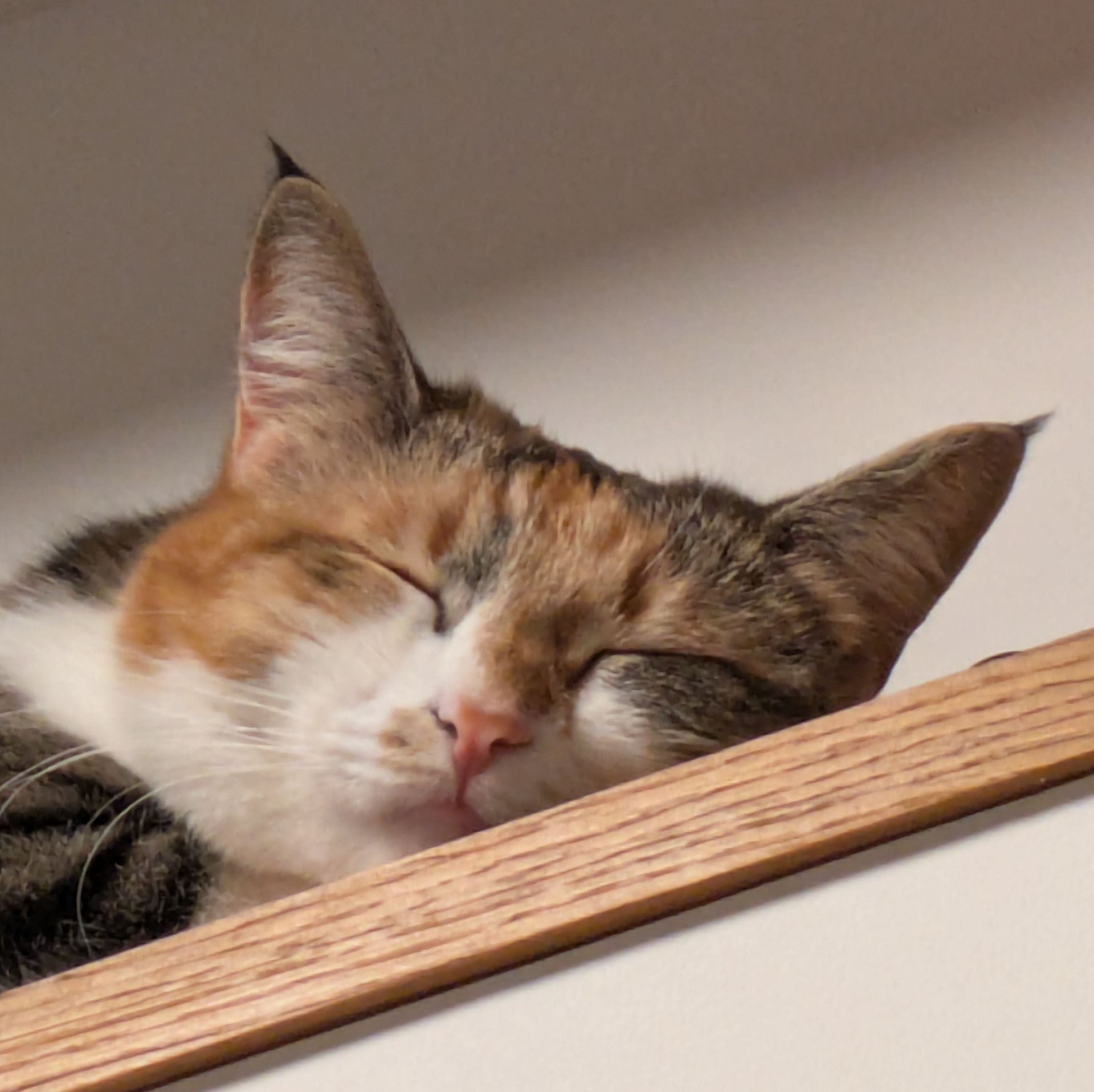 Иконка канала kireikirei