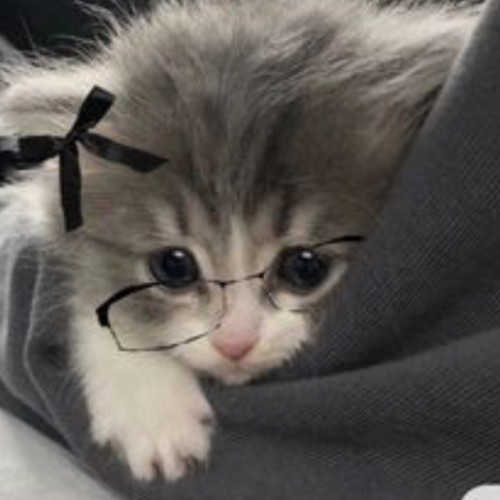 Иконка канала ﹤[🫶🏽🌿✨Arianda✨🌿🫶🏽]﹥