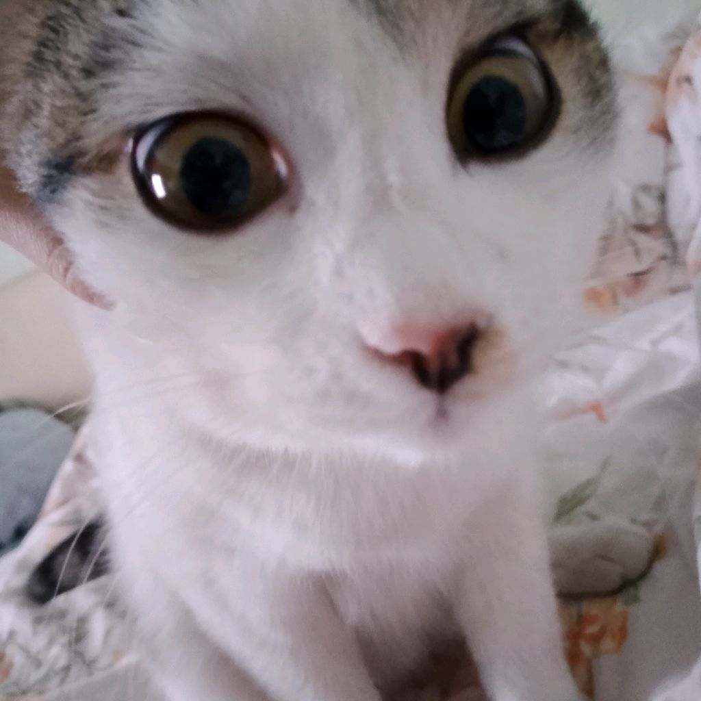 Иконка канала Sonima's Hashtg