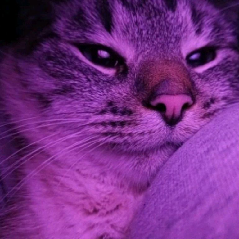 Иконка канала Веранда