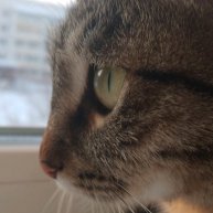 Иконка канала Artуоm Obkhodimov