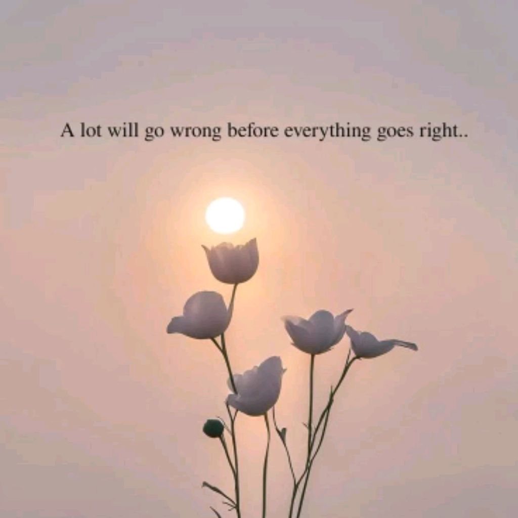 Иконка канала CjUteO