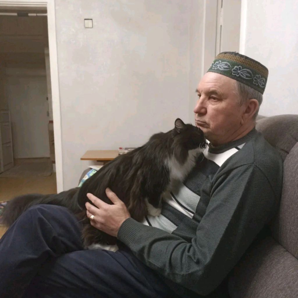 Аватар автора