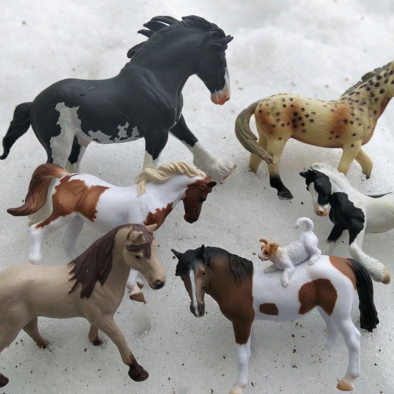 Иконка канала Ksusha I Horse🦄Лошади collecta
