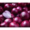 Иконка канала Master Onion
