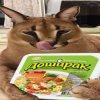Иконка канала Маркович