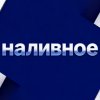 Иконка канала Наливное
