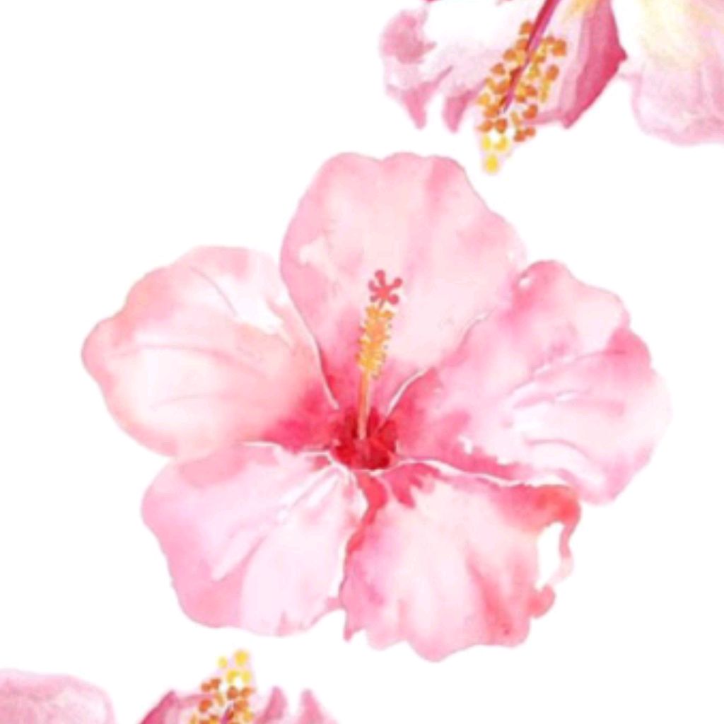 Иконка канала 🌸Ari_l_you🌸