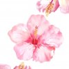 Иконка канала 🌸Ari_l_you🌸
