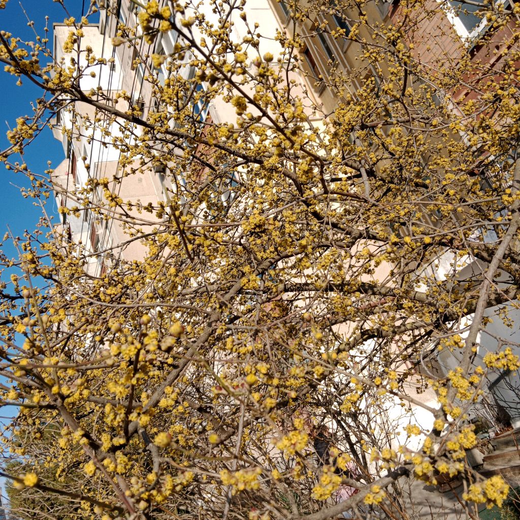 Иконка канала Эволюция_PRO