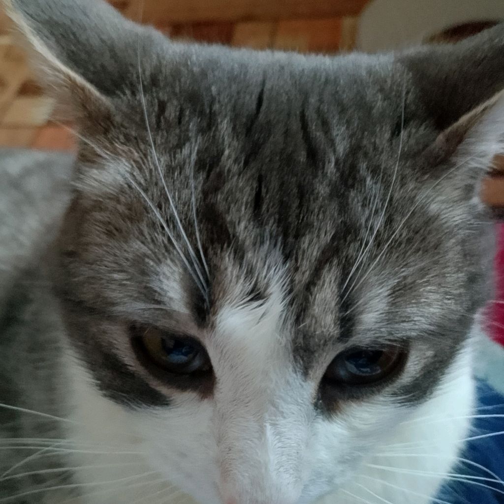 Иконка канала Артим