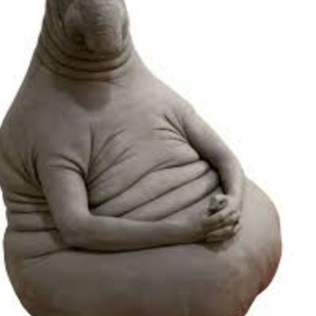 Иконка канала Подпишись