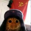 Иконка канала Шоколадик