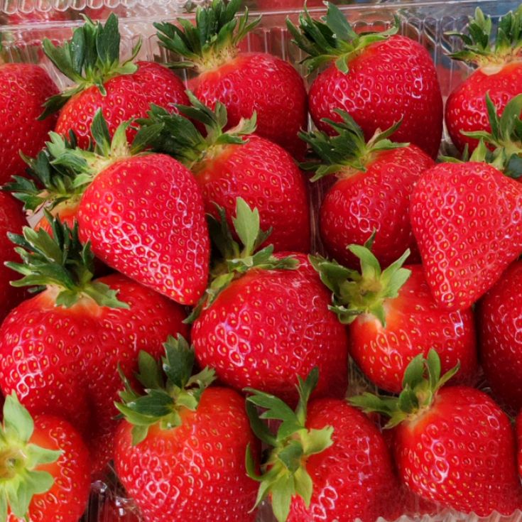 Иконка канала Клубника Волгоград