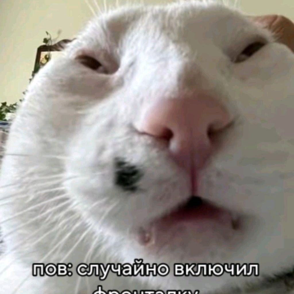 Иконка канала Попрыгун