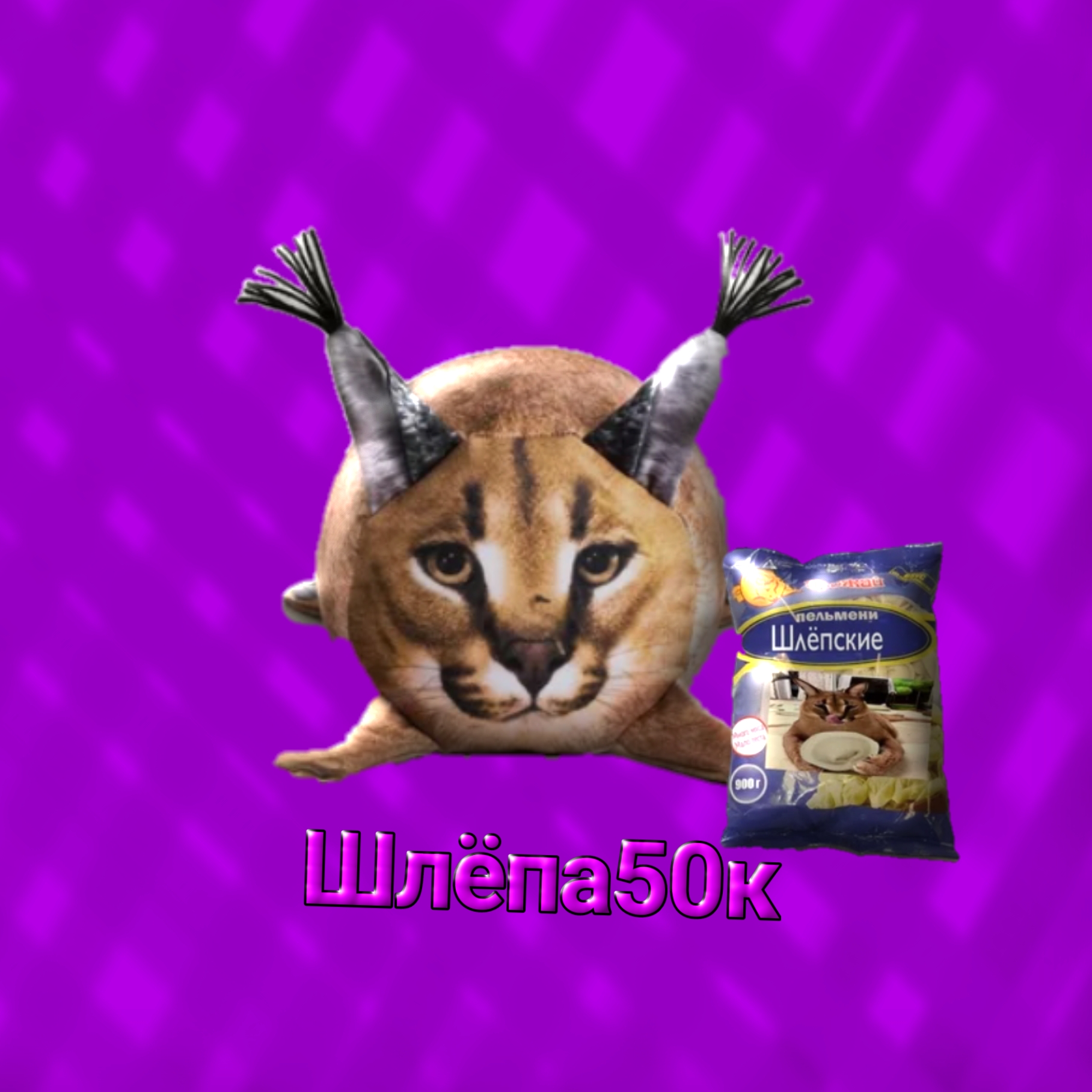 Иконка канала 🥟FLOPPA50K🥟