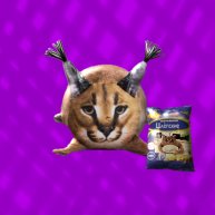 Иконка канала 🥟FLOPPA50K🥟