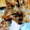 Иконка канала Kristina0409018