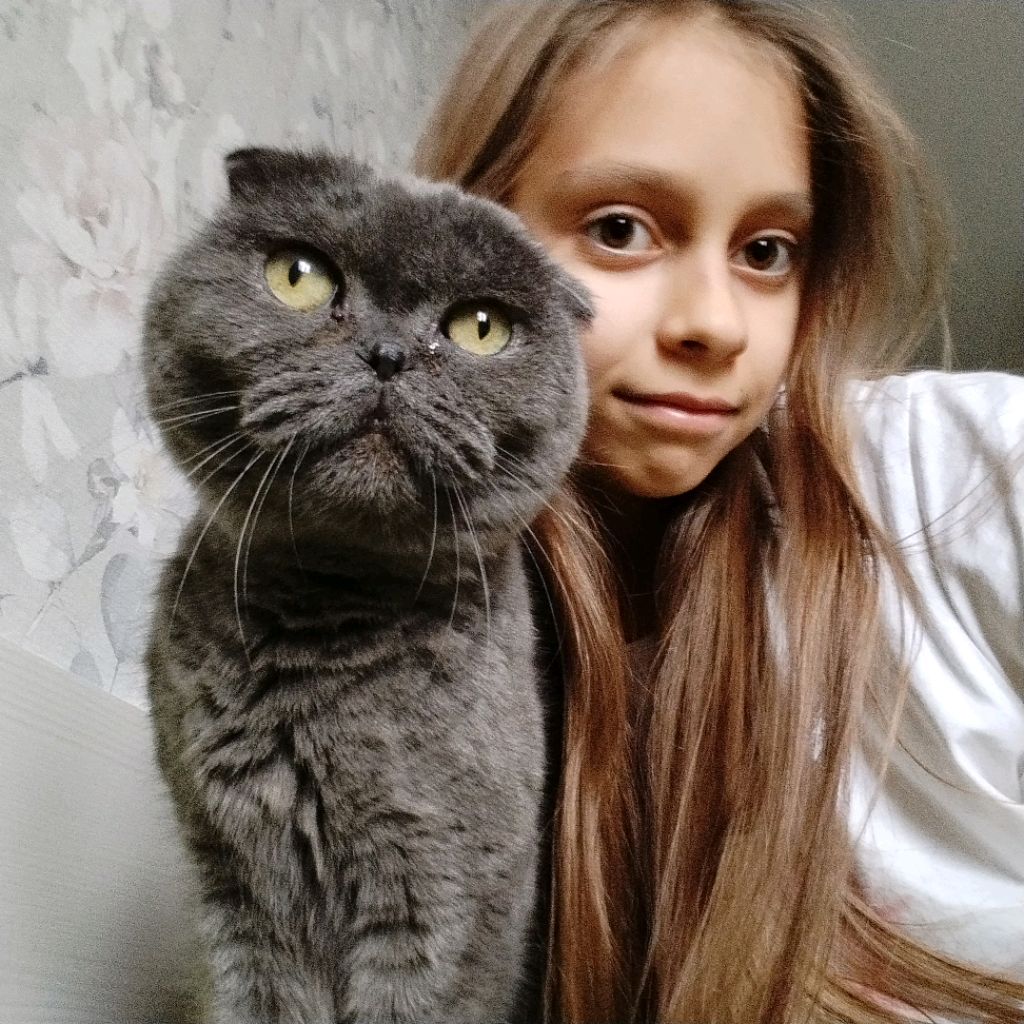 Аватар автора