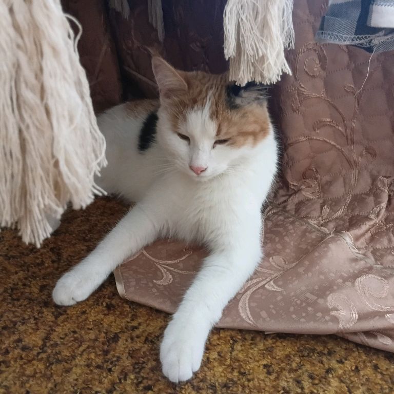 Иконка канала Лиза май