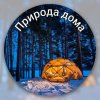 Иконка канала Природа дома