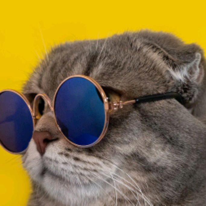 Иконка канала New Жизнь Официал