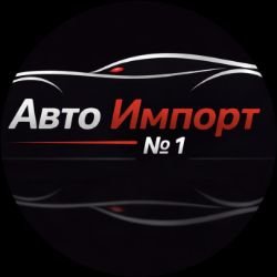 Иконка канала Авто Импорт №1