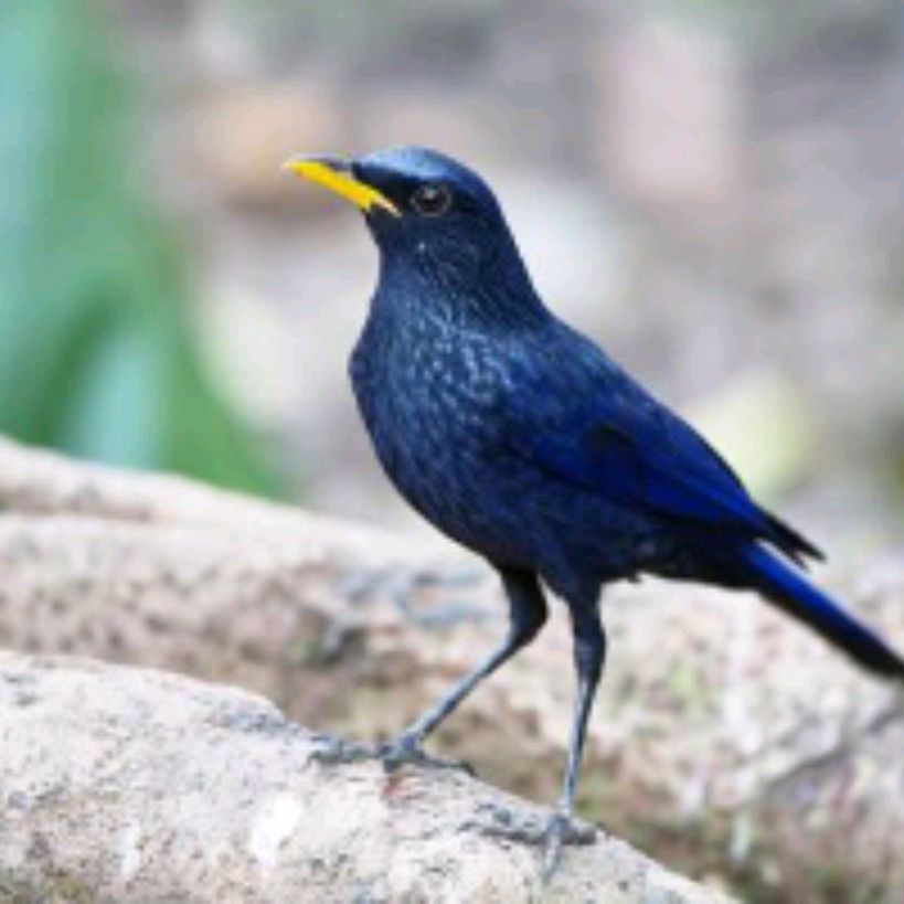 Иконка канала Vop