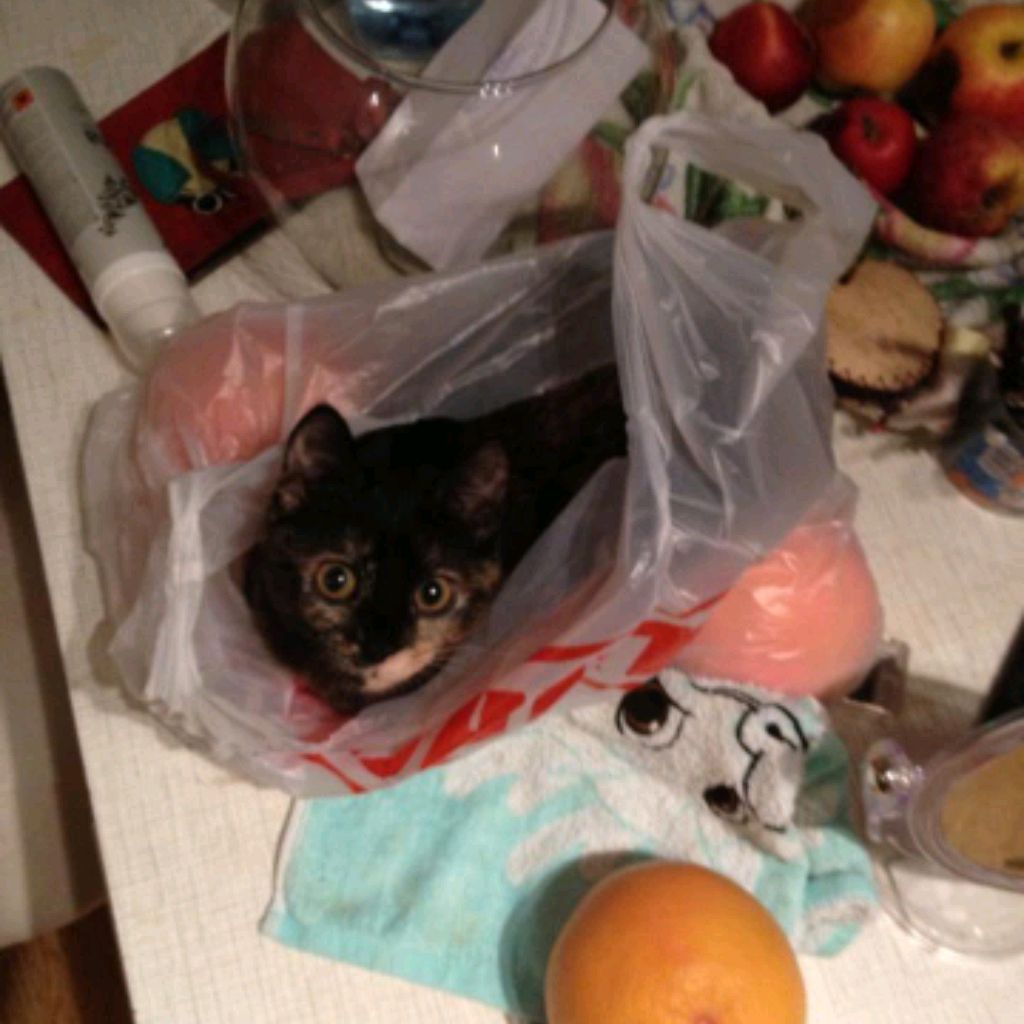 Иконка канала HEBECHKA