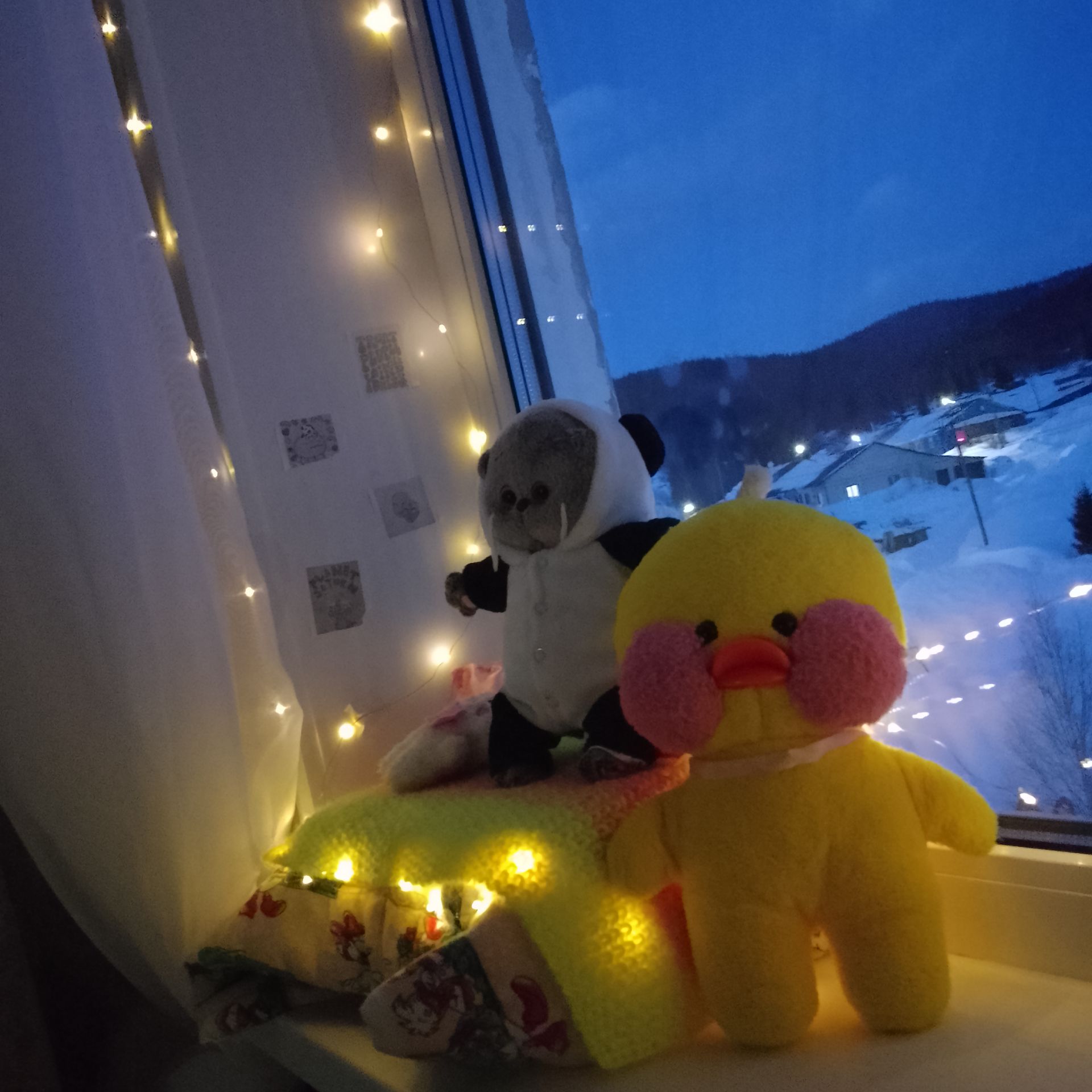 Аватар автора