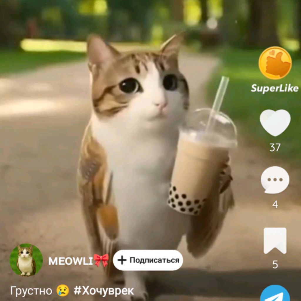 Иконка канала АНЯ КоТо шОУ