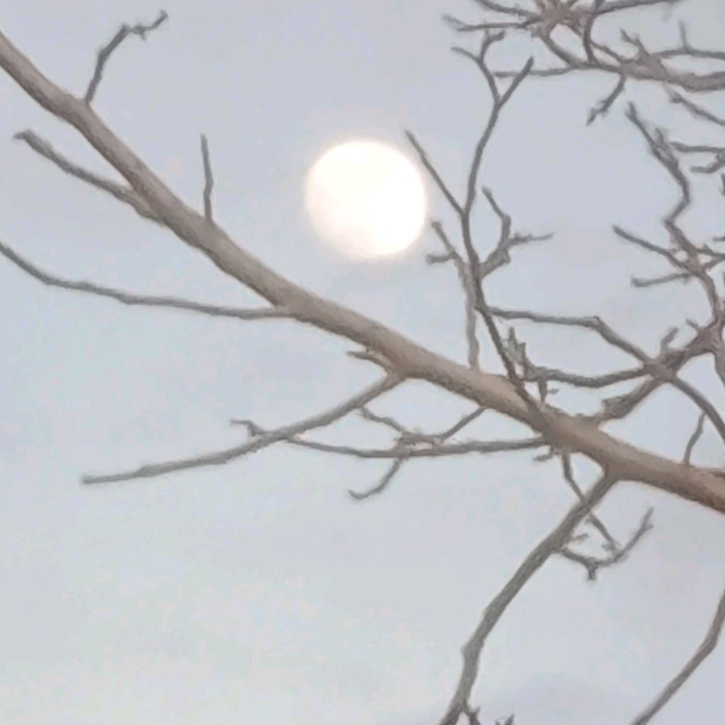 Иконка канала Dima123