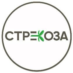 Иконка канала Стрекоза Иркутск