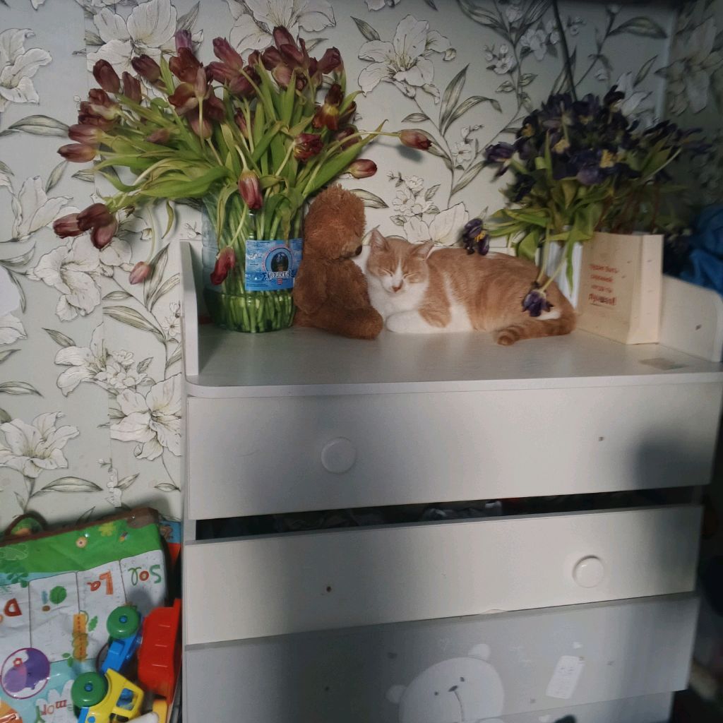 Иконка канала 🎈Вероника Про Роблокс🎈