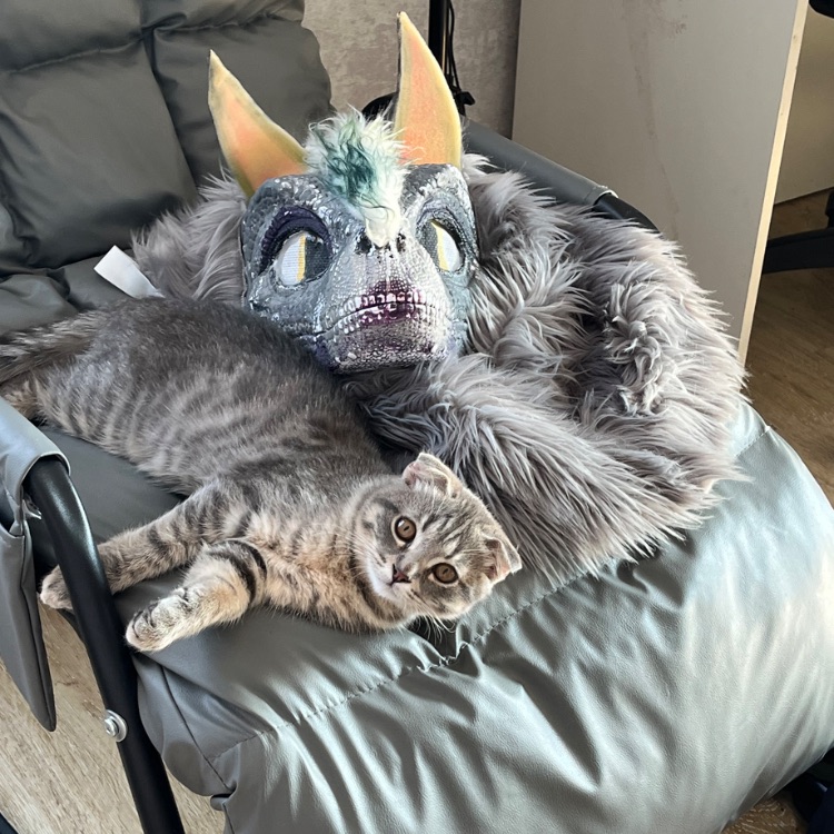 Аватар автора