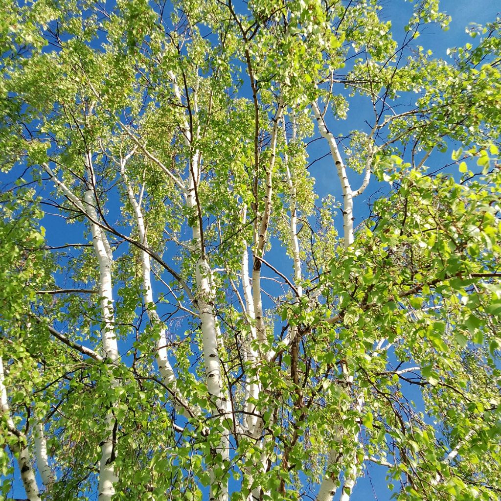 Иконка канала Дневник Моей Жизни!777