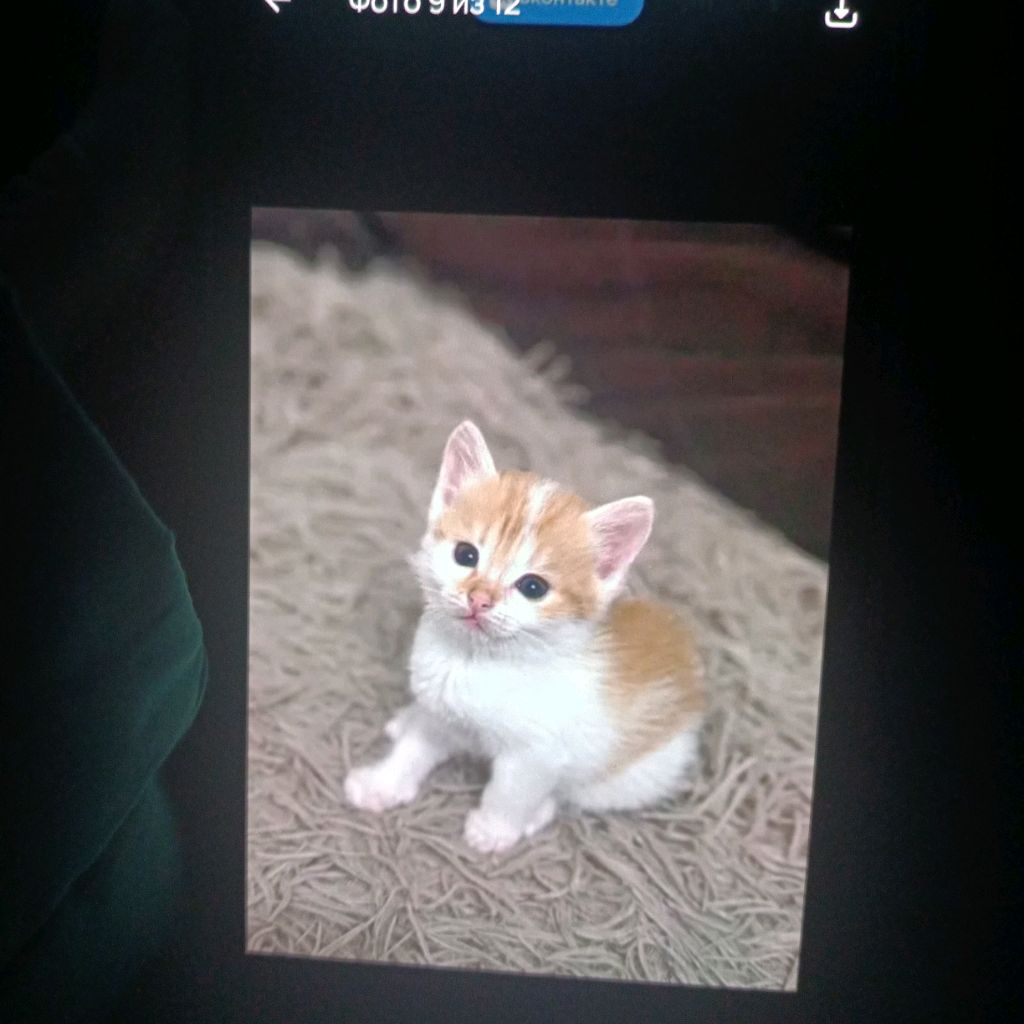 Иконка канала Алия и Ренат